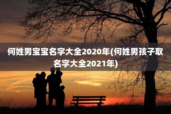 何姓男宝宝名字大全2020年(何姓男孩子取名字大全2021年)