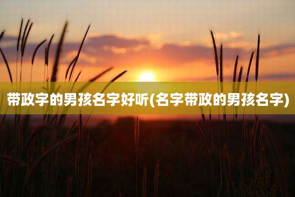 带政字的男孩名字好听(名字带政的男孩名字)