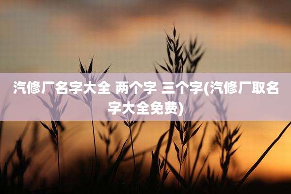 汽修厂名字大全 两个字 三个字(汽修厂取名字大全免费)