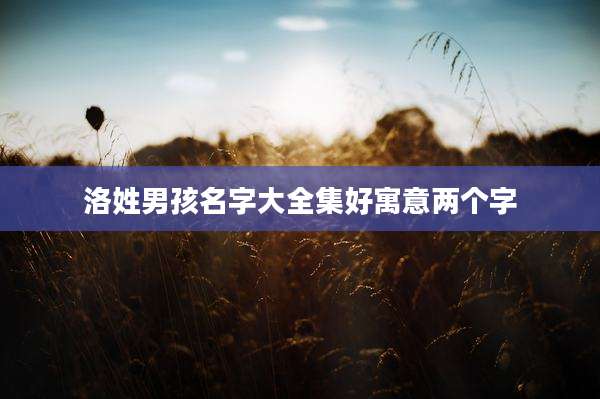 洛姓男孩名字大全集好寓意两个字