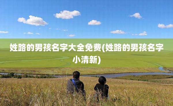姓路的男孩名字大全免费(姓路的男孩名字小清新)