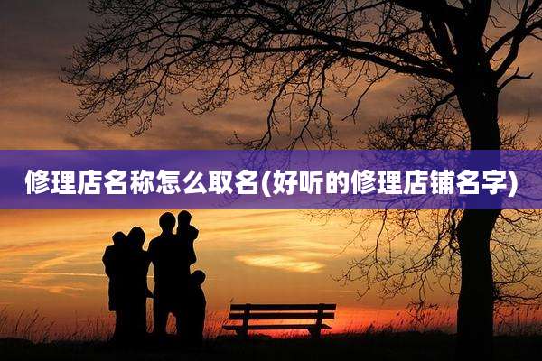 修理店名称怎么取名(好听的修理店铺名字)