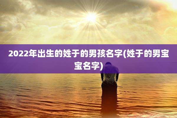 2022年出生的姓于的男孩名字(姓于的男宝宝名字)