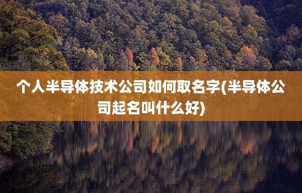 个人半导体技术公司如何取名字(半导体公司起名叫什么好)