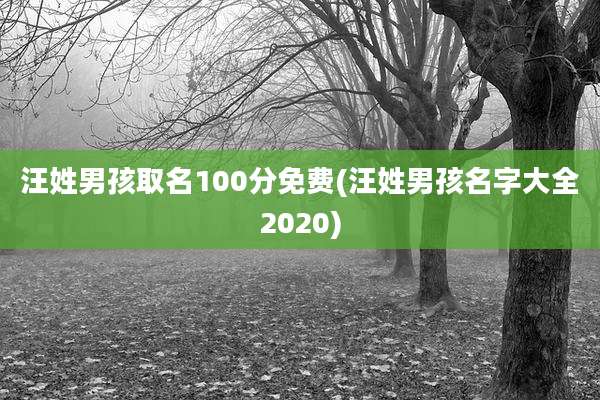 汪姓男孩取名100分免费(汪姓男孩名字大全2020)