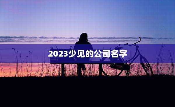 2023少见的公司名字