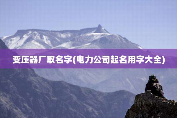 变压器厂取名字(电力公司起名用字大全)