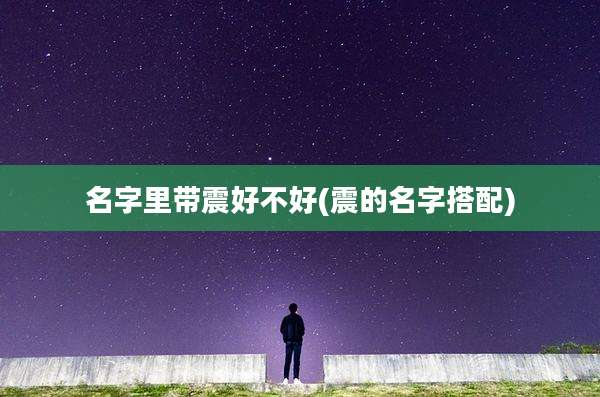 名字里带震好不好(震的名字搭配)