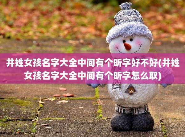 井姓女孩名字大全中间有个昕字好不好(井姓女孩名字大全中间有个昕字怎么取)