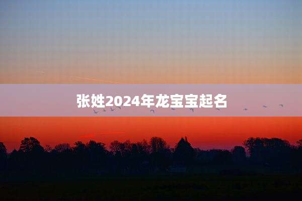 张姓2024年龙宝宝起名