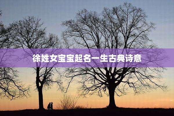 徐姓女宝宝起名一生古典诗意