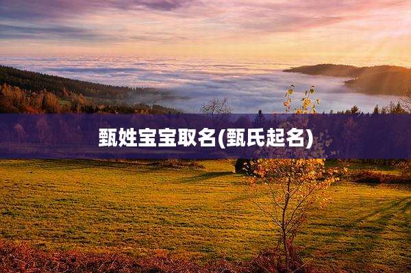 甄姓宝宝取名(甄氏起名)