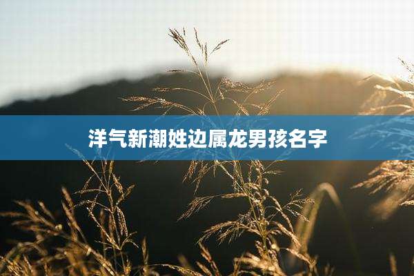 洋气新潮姓边属龙男孩名字
