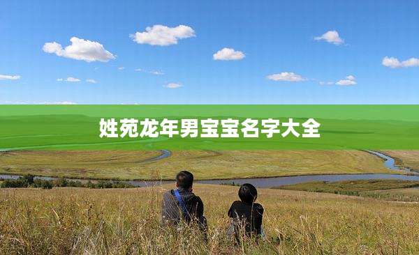 姓苑龙年男宝宝名字大全