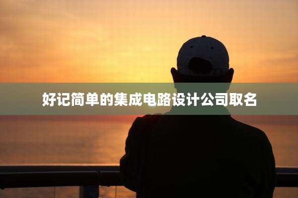 好记简单的集成电路设计公司取名