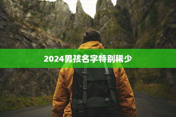 2024男孩名字特别稀少