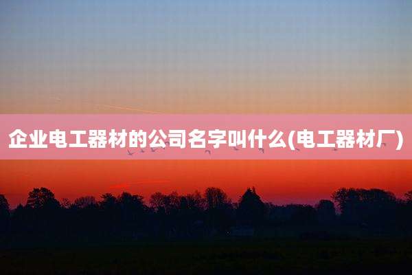 企业电工器材的公司名字叫什么(电工器材厂)