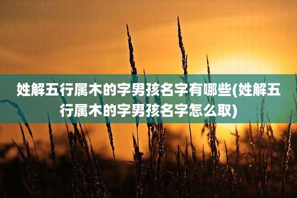 姓解五行属木的字男孩名字有哪些(姓解五行属木的字男孩名字怎么取)