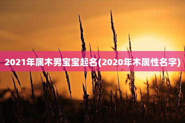2021年属木男宝宝起名(2020年木属性名字)