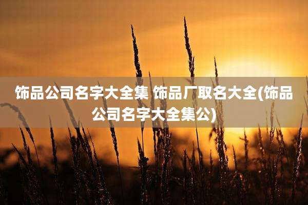 饰品公司名字大全集 饰品厂取名大全(饰品公司名字大全集公)