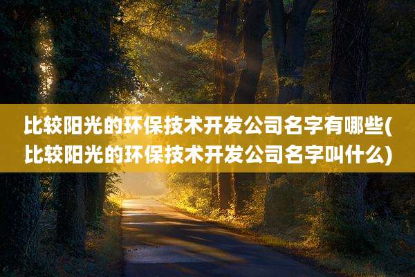 比较阳光的环保技术开发公司名字有哪些(比较阳光的环保技术开发公司名字叫什么)