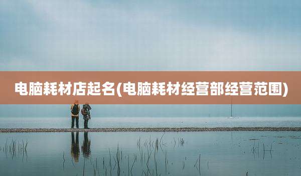 电脑耗材店起名(电脑耗材经营部经营范围)