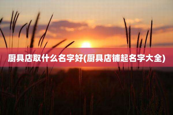 厨具店取什么名字好(厨具店铺起名字大全)
