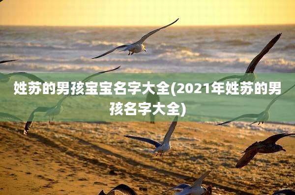 姓苏的男孩宝宝名字大全(2021年姓苏的男孩名字大全)
