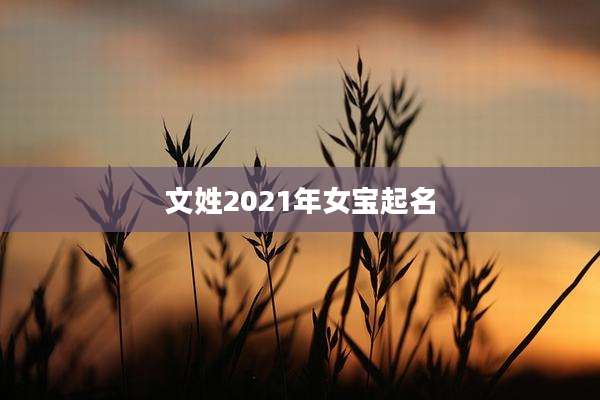 文姓2021年女宝起名