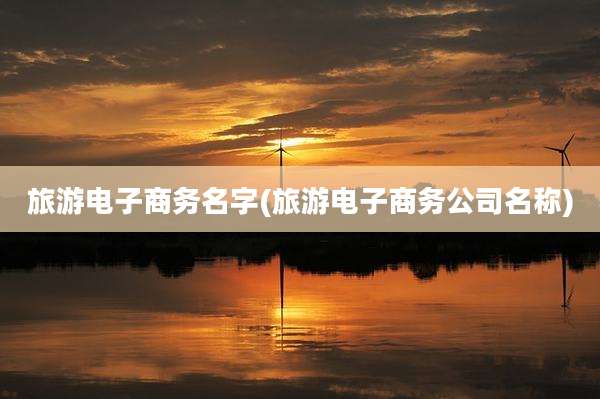 旅游电子商务名字(旅游电子商务公司名称)