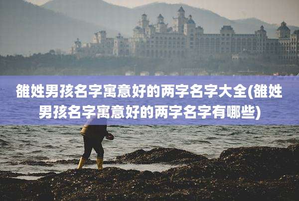 雒姓男孩名字寓意好的两字名字大全(雒姓男孩名字寓意好的两字名字有哪些)