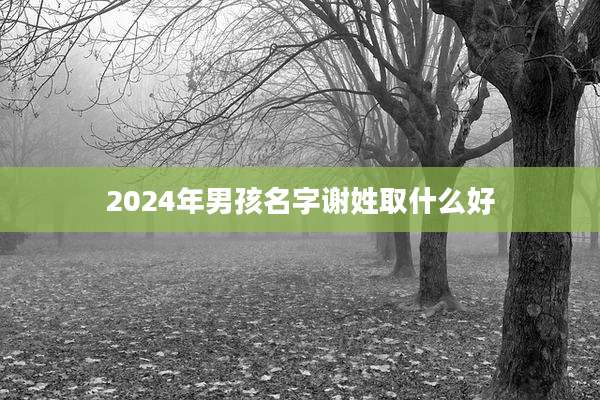 2024年男孩名字谢姓取什么好