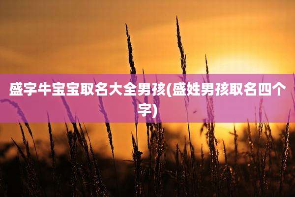 盛字牛宝宝取名大全男孩(盛姓男孩取名四个字)