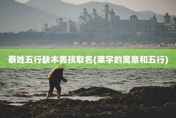 蔡姓五行缺木男孩取名(莱字的寓意和五行)