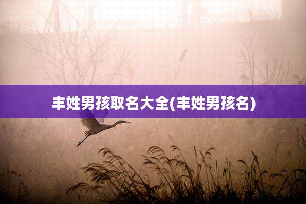 丰姓男孩取名大全(丰姓男孩名)