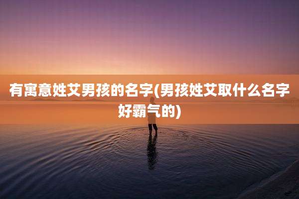 有寓意姓艾男孩的名字(男孩姓艾取什么名字好霸气的)