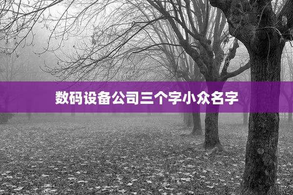 数码设备公司三个字小众名字