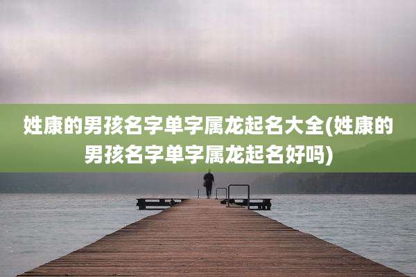 姓康的男孩名字单字属龙起名大全(姓康的男孩名字单字属龙起名好吗)