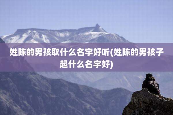 姓陈的男孩取什么名字好听(姓陈的男孩子起什么名字好)