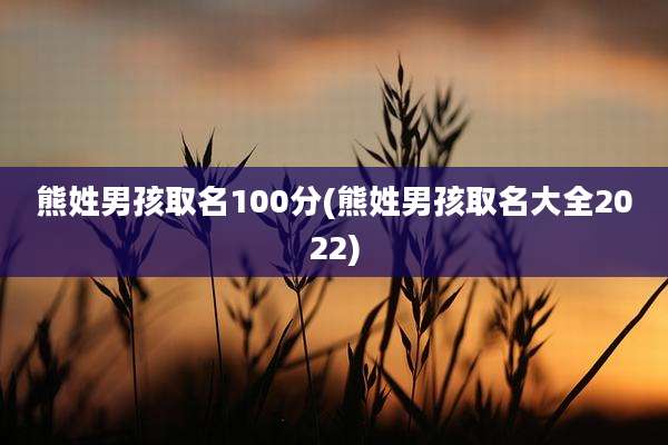 熊姓男孩取名100分(熊姓男孩取名大全2022)