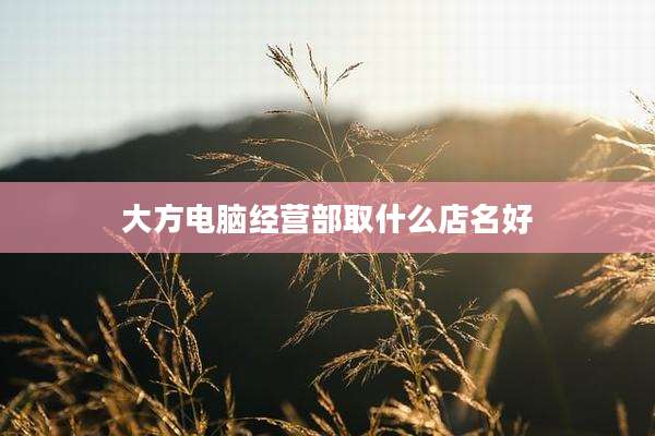大方电脑经营部取什么店名好