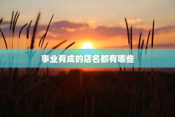 事业有成的店名都有哪些
