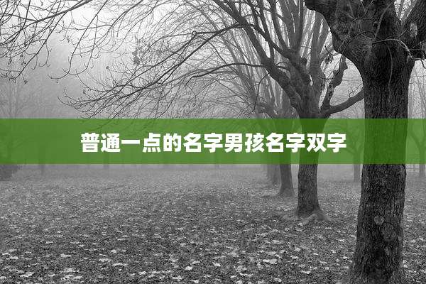 普通一点的名字男孩名字双字
