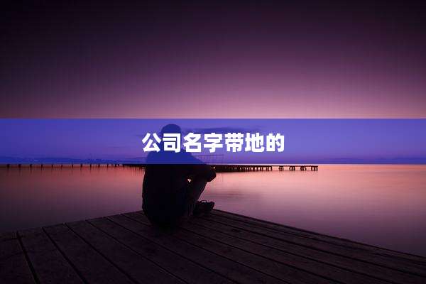 公司名字带地的