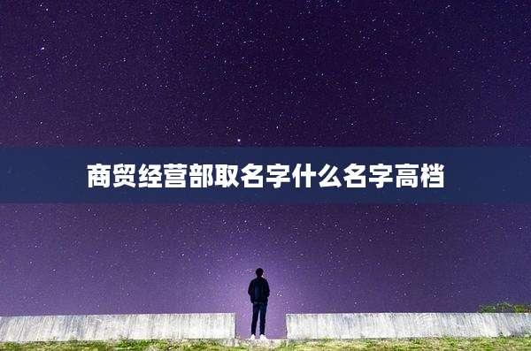 商贸经营部取名字什么名字高档