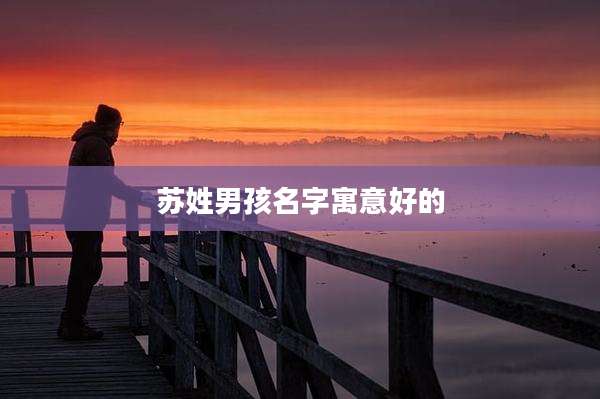 苏姓男孩名字寓意好的