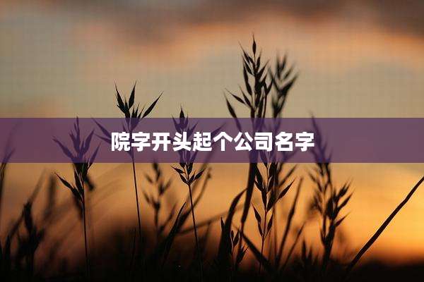院字开头起个公司名字