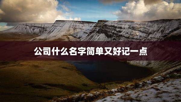 公司什么名字简单又好记一点