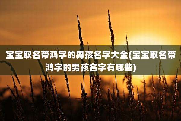 宝宝取名带鸿字的男孩名字大全(宝宝取名带鸿字的男孩名字有哪些)