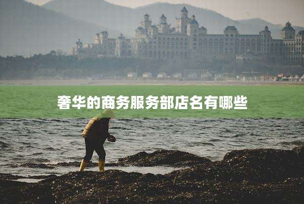 奢华的商务服务部店名有哪些